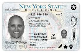 Valid Driver's License Reference